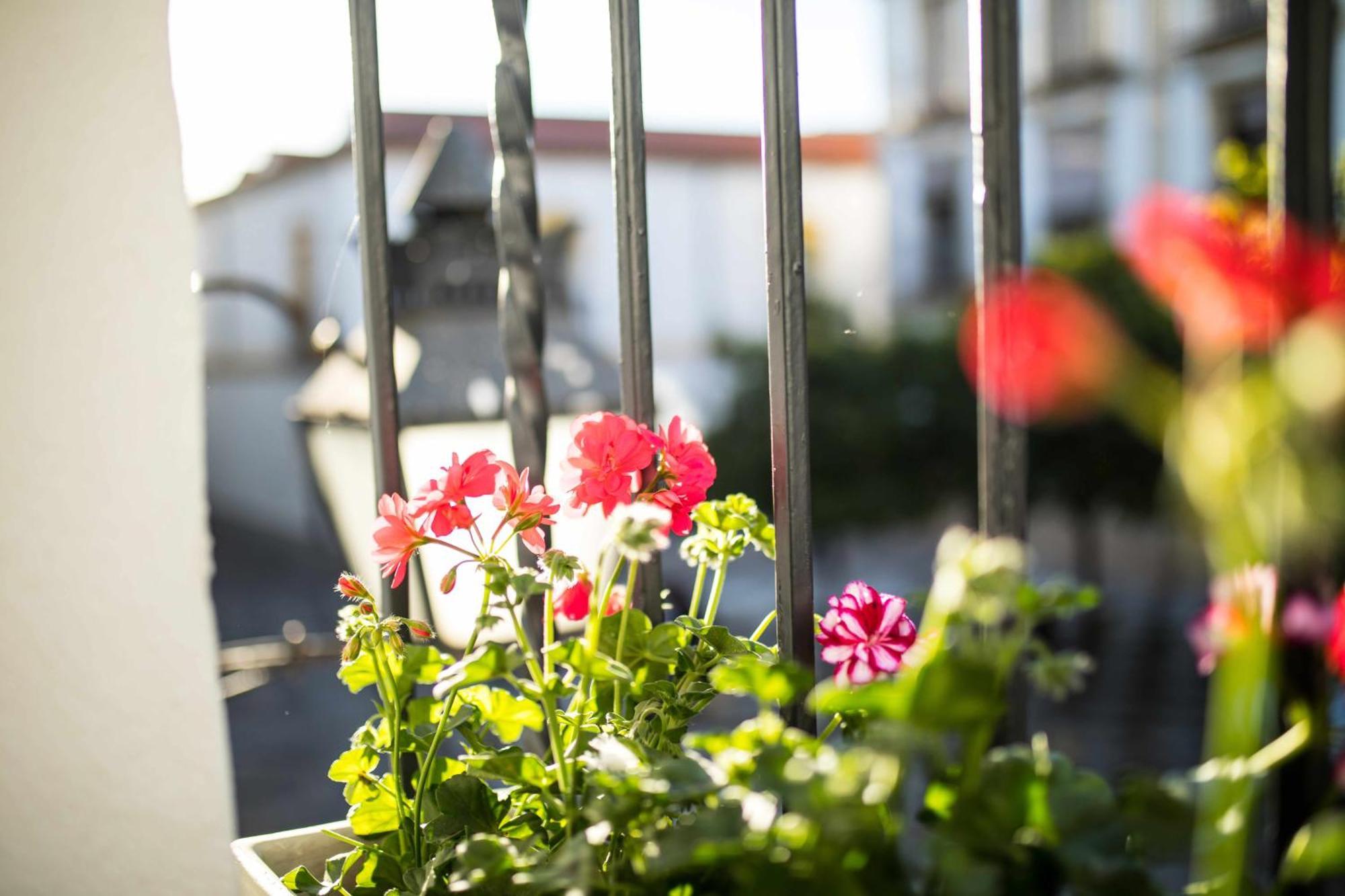 Capricho De La Juderia Suites Córdoba Exteriör bild